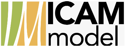 ICAM MODEL